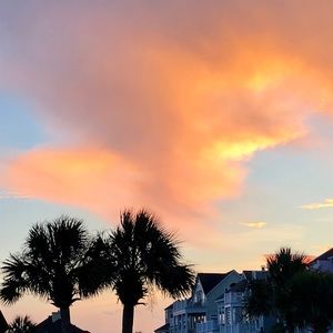 Meet your Posher, Leigh arden